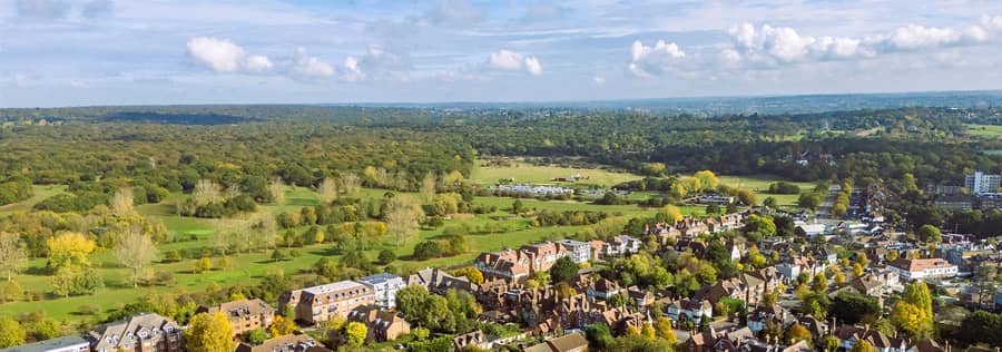 Amanda Roberts, Estate Agents in Chingford, London